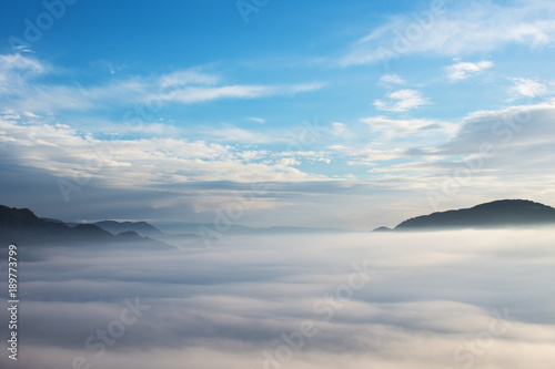 Landscape Morning View With Waves of Fog Over the Mountain and Trees