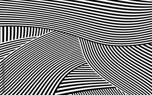 Zebra Design Black and White Stripes Vector