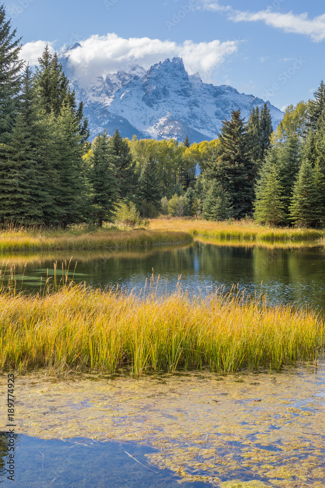 Scenic Reflection Landscape in the Tetons in Fall