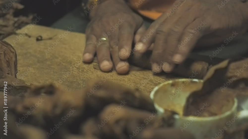 Close up of custom making of Cuban cigars in Havana Close up of custom making of Cuban cigars in Havana