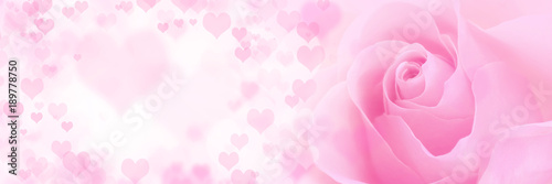 Pink rose with hearts background