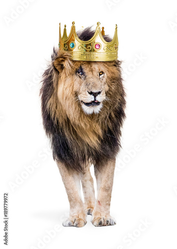Lion With King of Jungle Crown