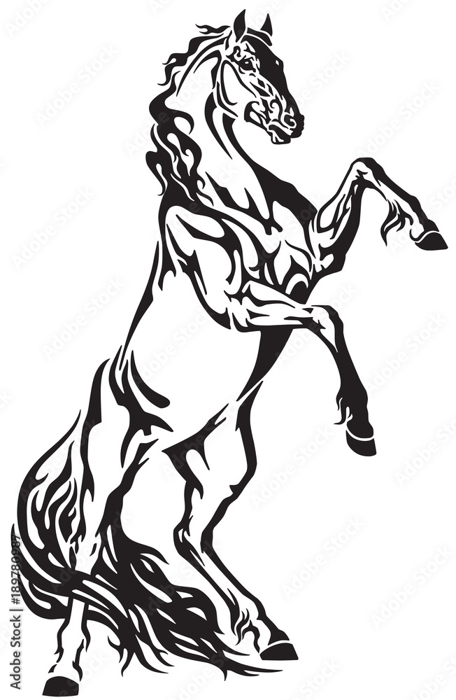 horse head tribal tattoo, logo, icon . Black and white vector illustration horse head tribal tattoo, logo, icon . Black and white vector illustration