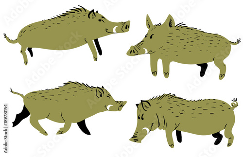 Set with cute boars. Vector illustration with wild pigs.