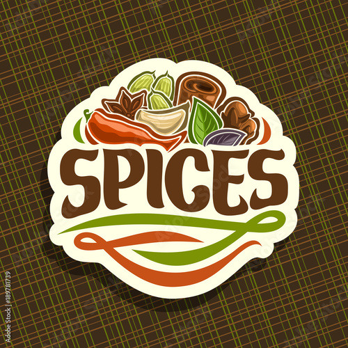 Vector logo for Spices, cut label with original brush typeface for word spices, in heap of indian condiments hot chilli pepper, clove of garlic, leaves of basil, star anise spice and cinnamon on white