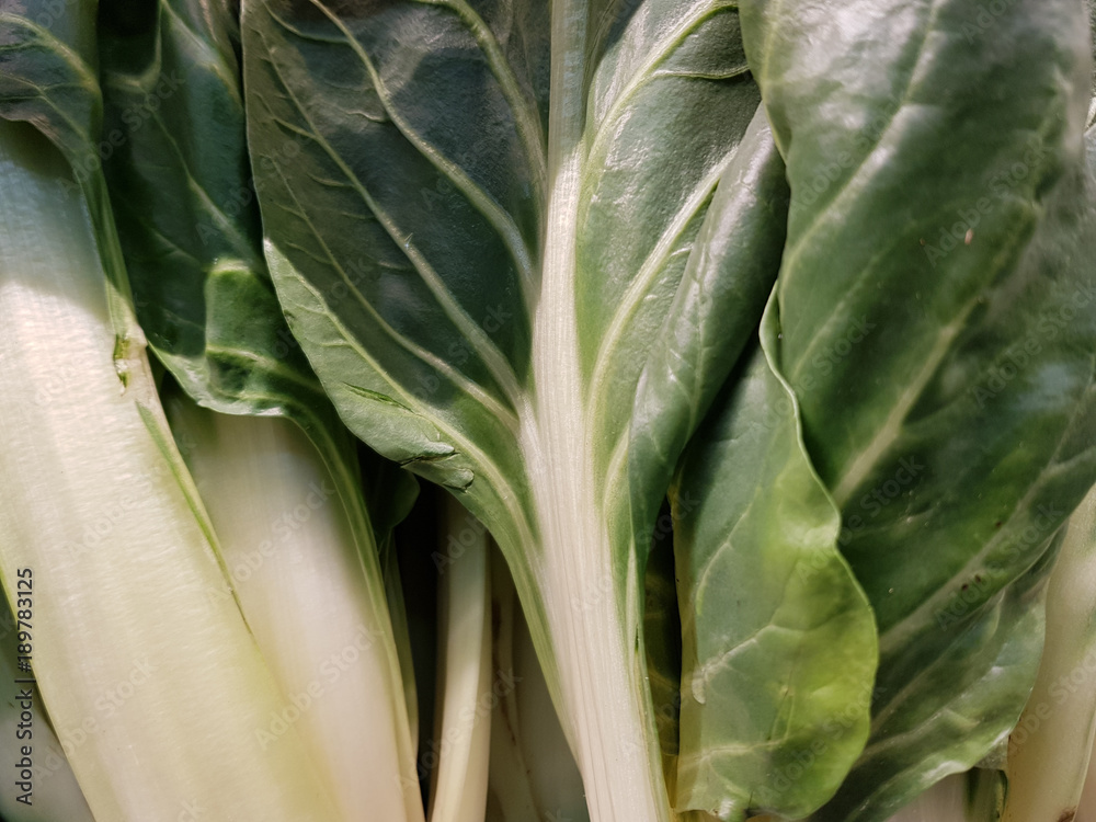 Obraz premium Bietola