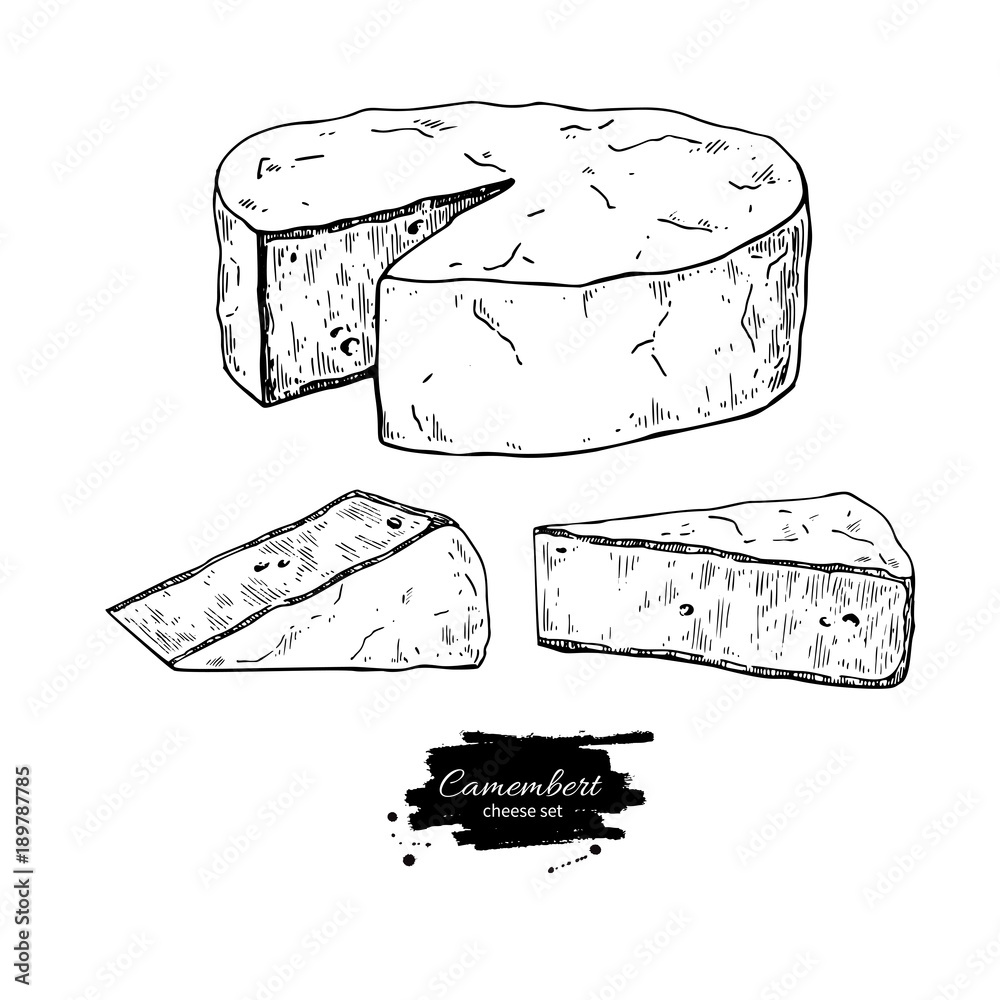 Camembert cheese block and triangle drawing. Vector hand drawn food