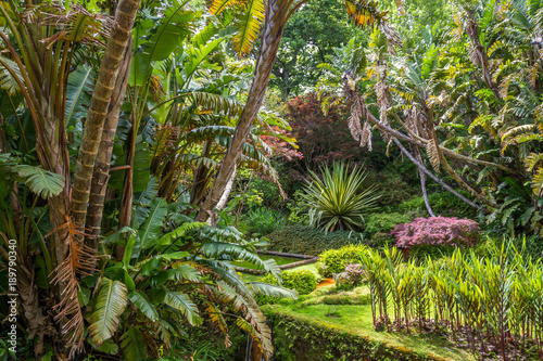 Tropical Garden in the Azores