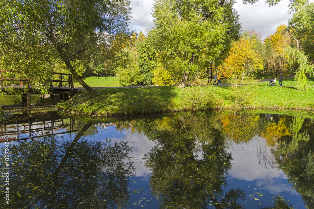 Reflection of coastal trees in the water surface of the pond. Reflection of coastal trees in the water surface of the pond.