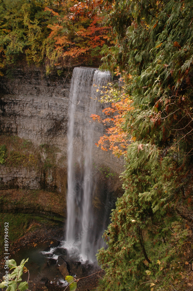 Fototapeta premium waterfall