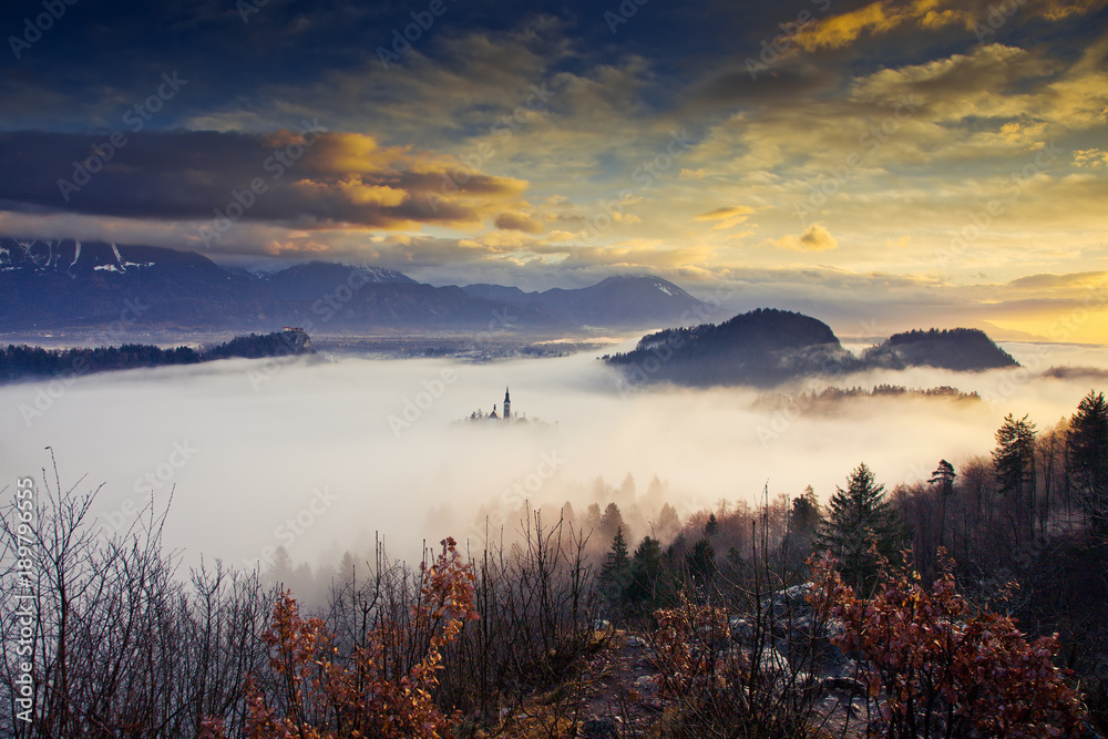 Obraz premium amazing sunrise at lake Bled from Ojstrica viewpoint, Slovenia, Europe - travel background