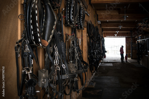 In the Barn