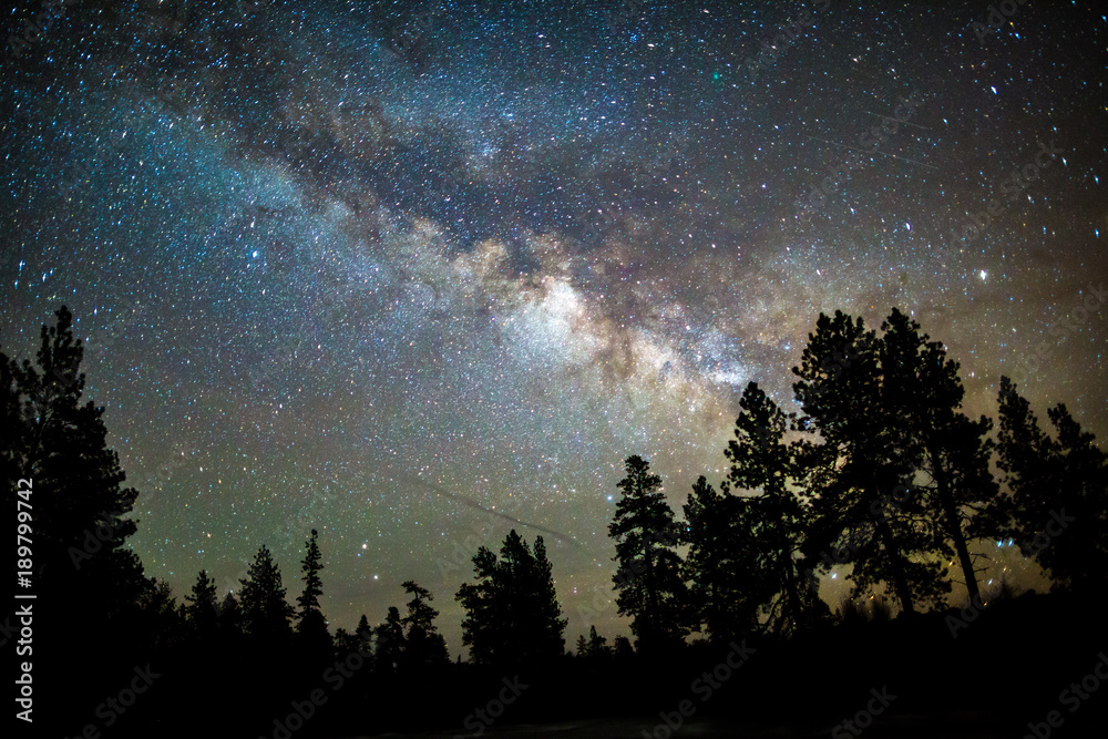 milky way over silhouetted trees