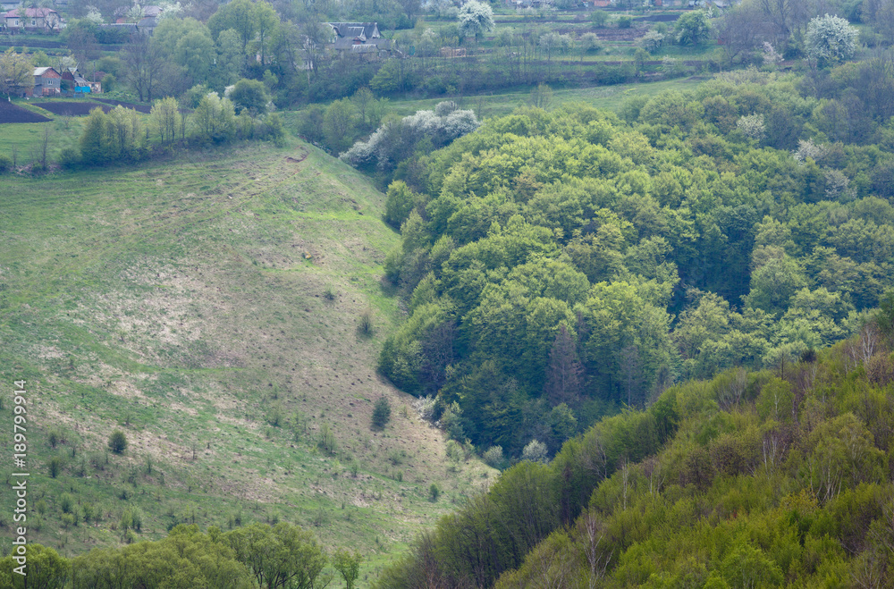 Spring forest, ravine and village from Jazlovets castle ruins, Ternopil Region, Ukraine