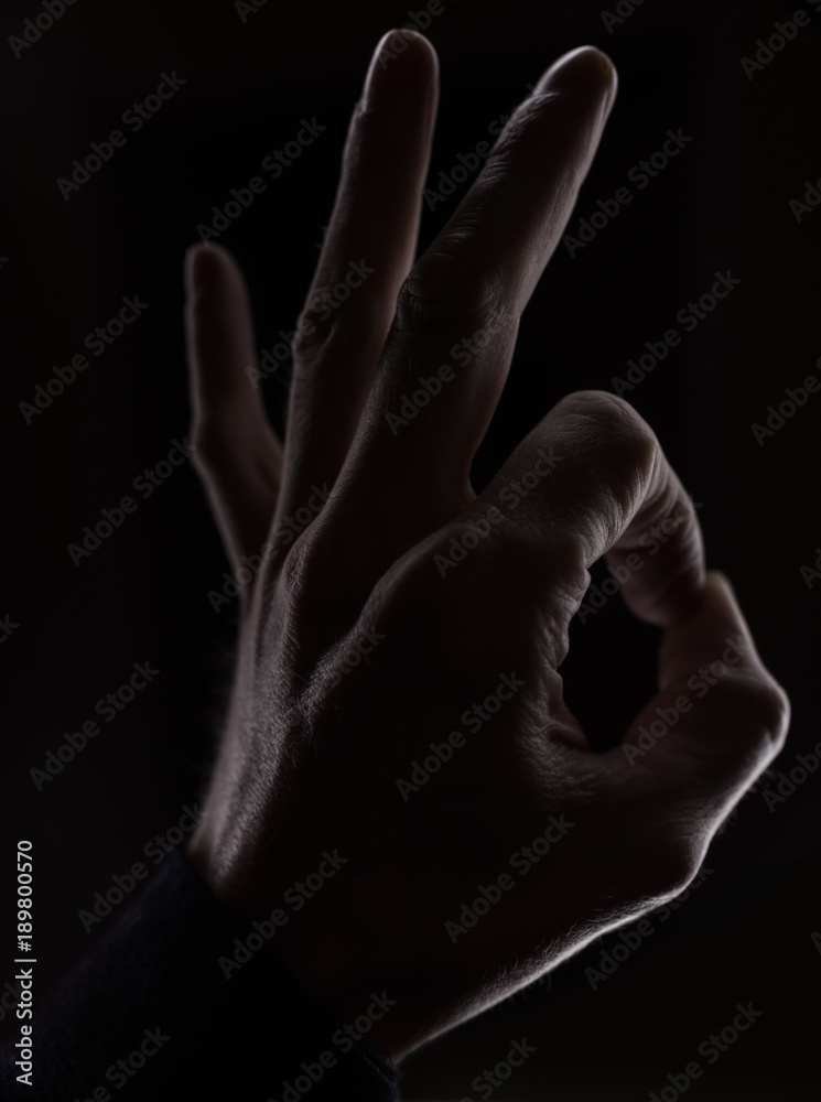 Fototapeta premium Ok Zeichen