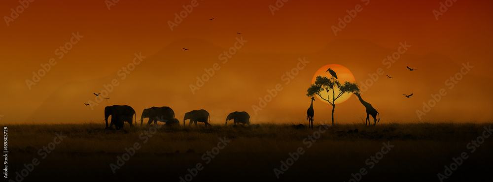 Naklejka premium Afrykańskie zwierzęta zachód słońca sylwetka transparent