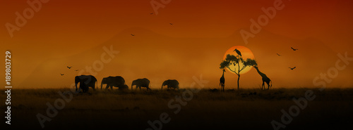 African Animals Sunset Silhouette Banner photo