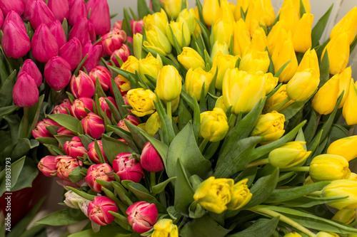 Bouquets tulips on window flower shop. Spring flowers.