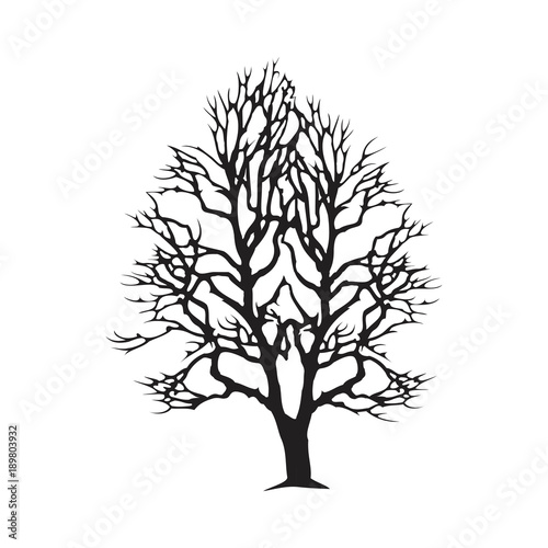 Arid Tree Vector Silhouette