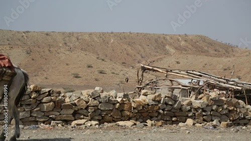  the  village the caravan of donkey with salt
