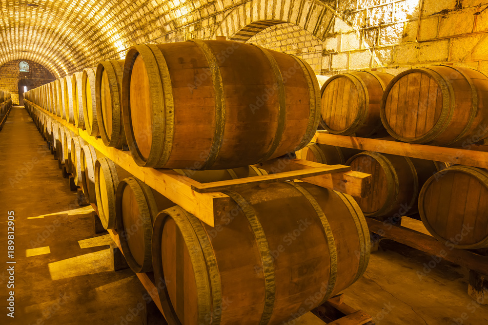 Wine Cellar with Wooden Barrels Wine Cellar with Wooden Barrels