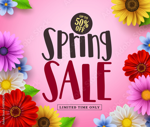 Spring sale vector banner design with text and colorful flowers like daisy and sunflower in pink floral background for spring season discount promotion. Vector illustration.
 photo