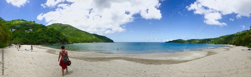 Caribbean Beach Panorama