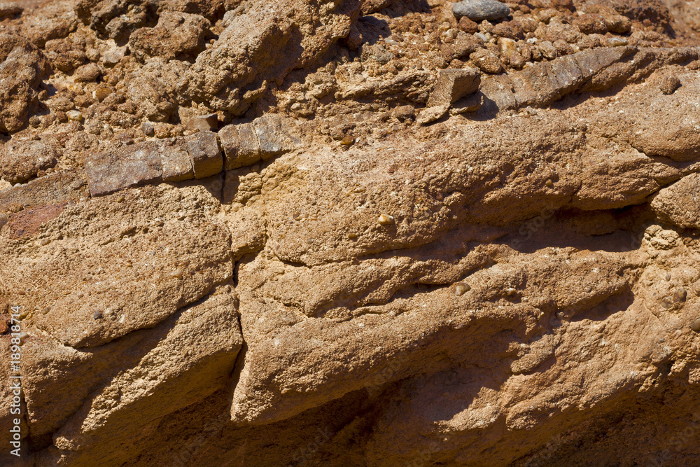 Obraz premium Natural pattern as background