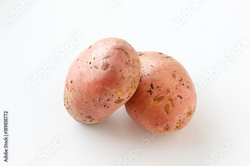 A lot of dirty potatoes on a white background. Potatoes scattered on a white background. photo