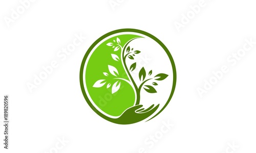 Tree yin yang logo vector