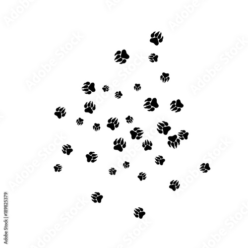 Monochrome Bear Footprints in Black and White. Prints of Paws with Big Claws for Petshop Design or for Goods for Pets. Simple Pattern for Print, Logo or Poster. Vector Confetti Background. © OLENA