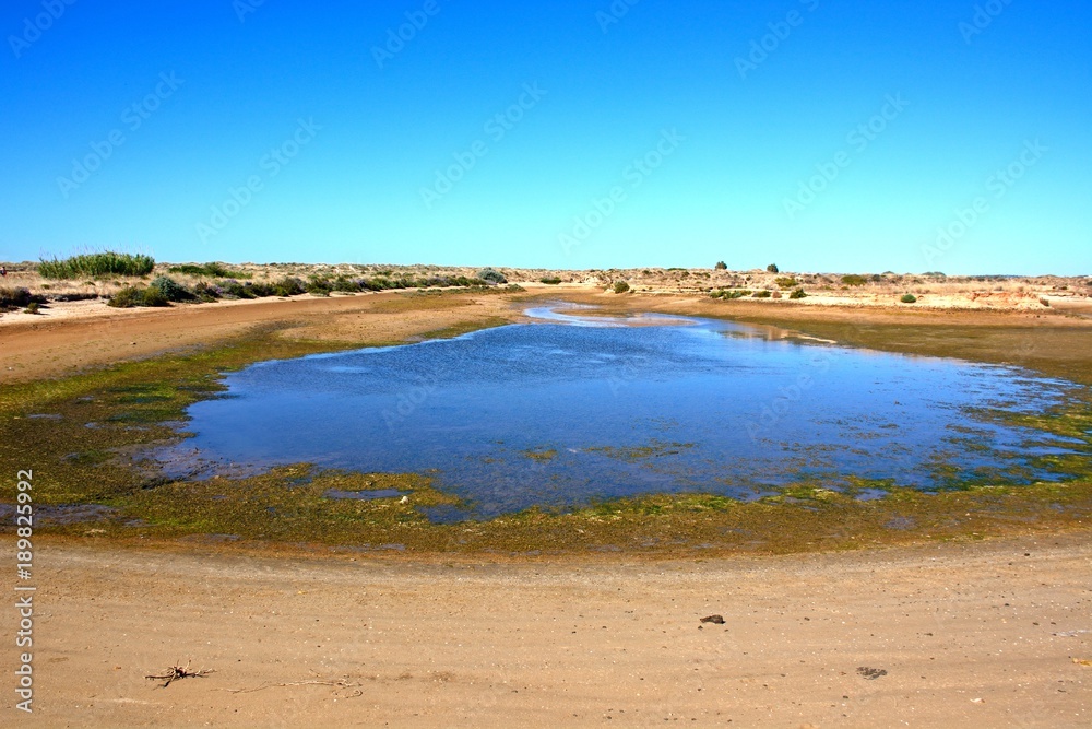 View of a lake in the nature reserve, Alvor, Algarve, Portugal. View of a lake in the nature reserve, Alvor, Algarve, Portugal.