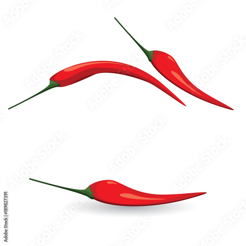 Set of Hot chilli pepper. Vegetable organic food red chili pepper isolated on white background.