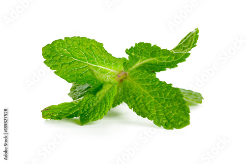mint isolated on white