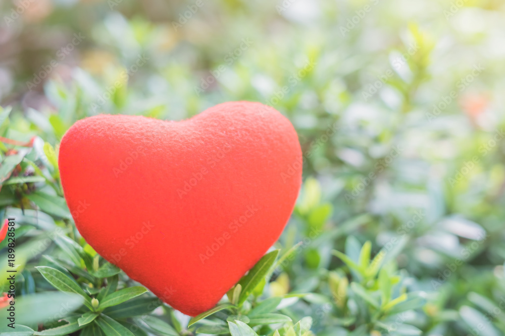 Red heart on green leaves of flowers Red heart on green leaves of flowers