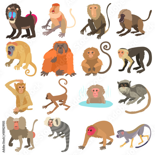 Monkeys types icons set, cartoon style