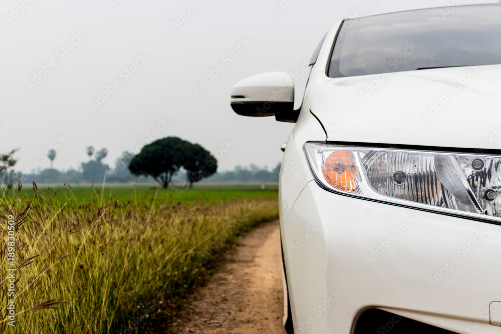 The front of white car on the road around with golden grass flower