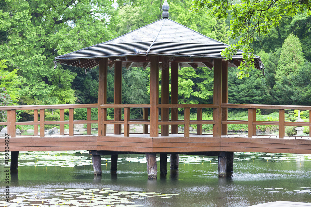 Japanese Garden, exotic plants, spring, Wroclaw, Poland