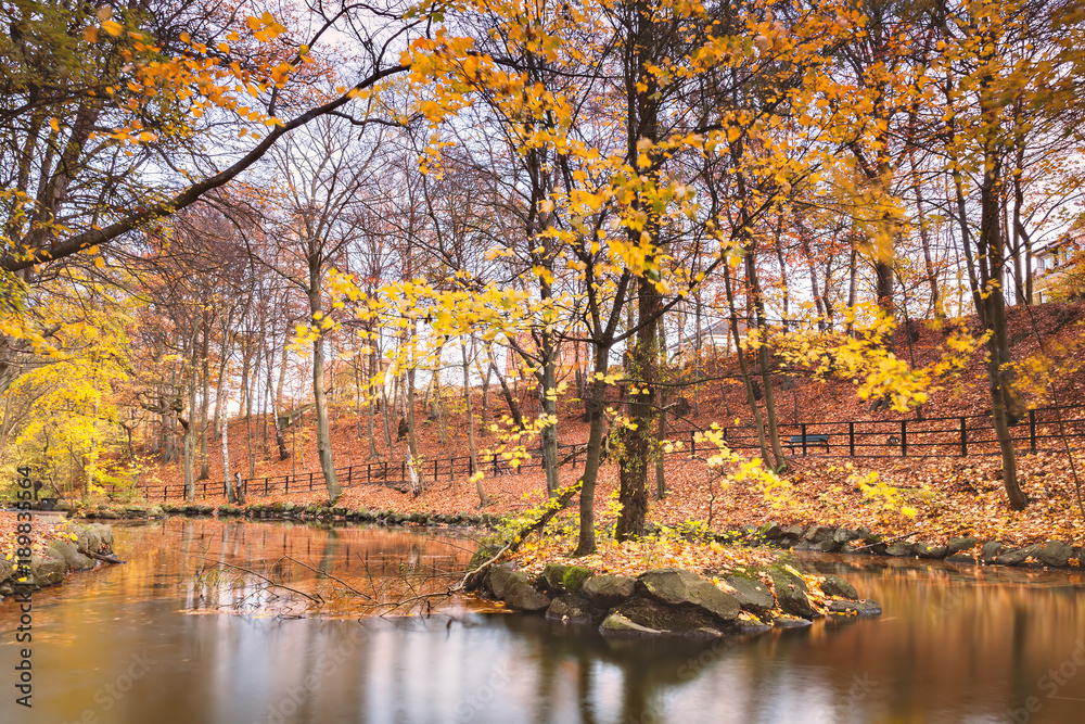 Tranquil pond in autumn Tranquil pond in autumn