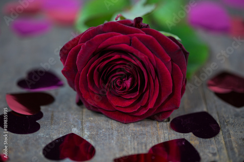 red rose with hearts, wood background