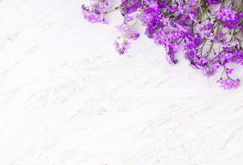 Beautiful Spring Flower background