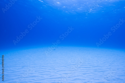 砂地の海底