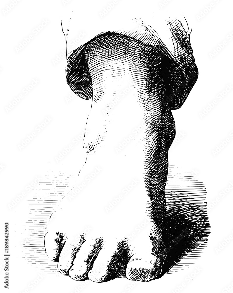 Fuß Zeichnung - Foot drawing Stock Vector | Adobe Stock