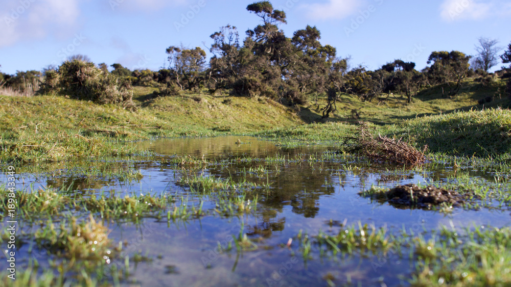 Exposed moorland pool / pond on a bright winters morning on Bodmin Moor, Cornwall Exposed moorland pool / pond on a bright winters morning on Bodmin Moor, Cornwall