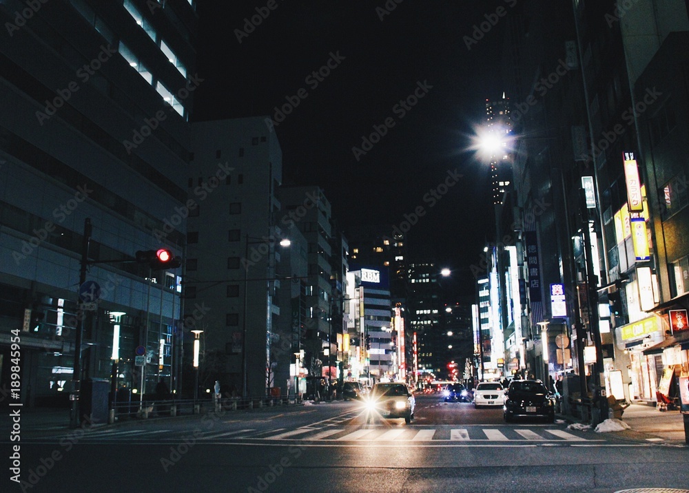 Fototapeta premium Tokyo night 