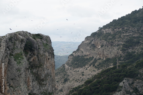 beautiful rocky region around el Chorro in Andalusia