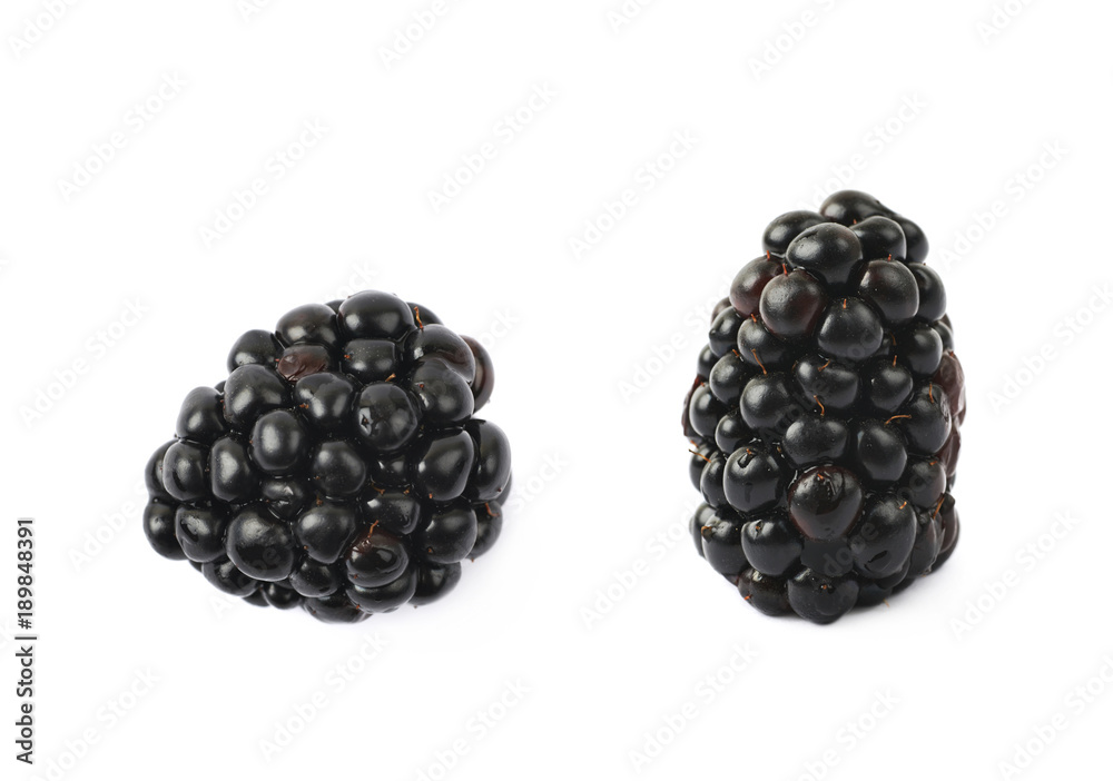 Single blackberry fruit isolated Single blackberry fruit isolated