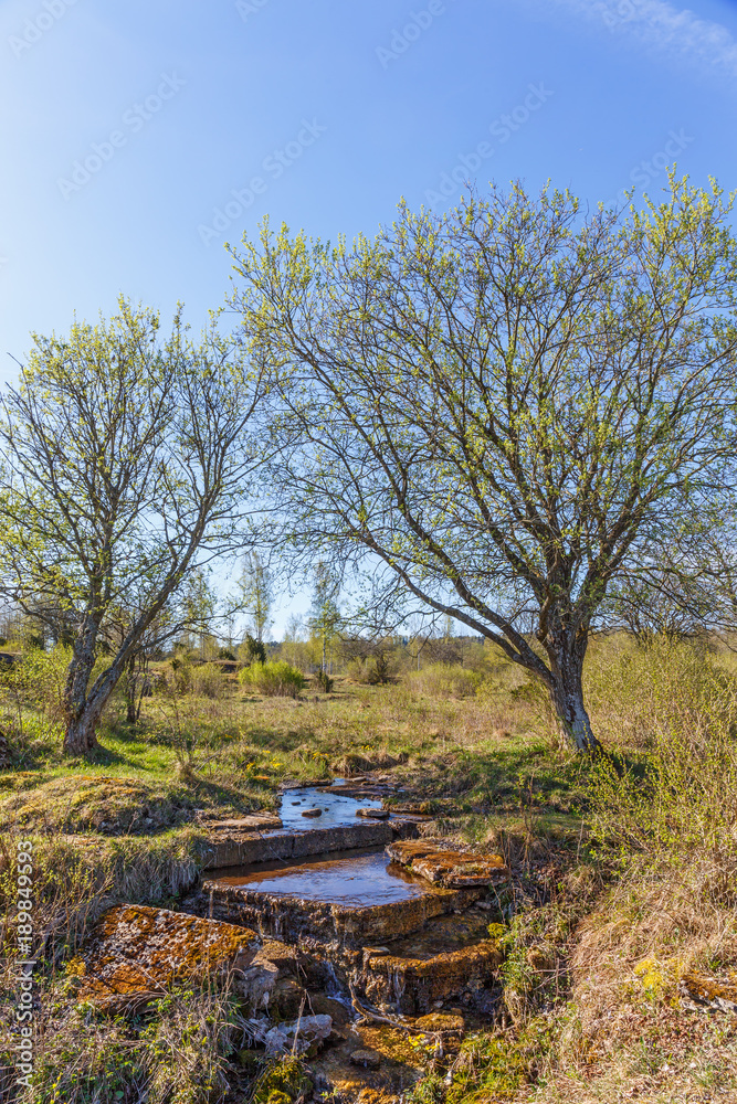 Creek in a meadow with spring greenery trees Creek in a meadow with spring greenery trees