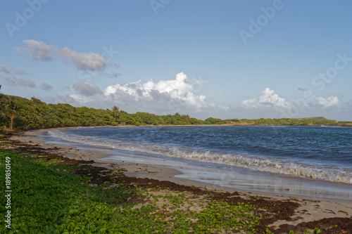 Anse à Prunes - Near Salines beach - Sainte Anne - Martinique