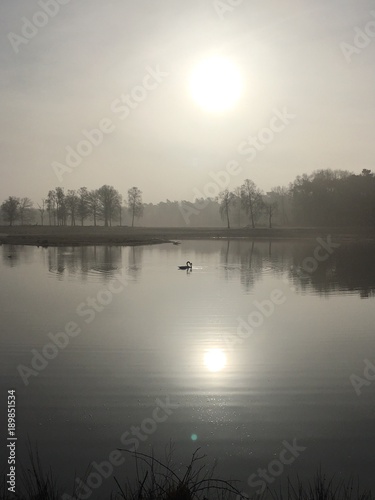 sunrise on a misty wintermorning over the lake photo